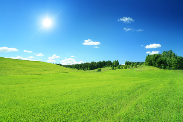 t01d560c5aa750c7ddc.jpg